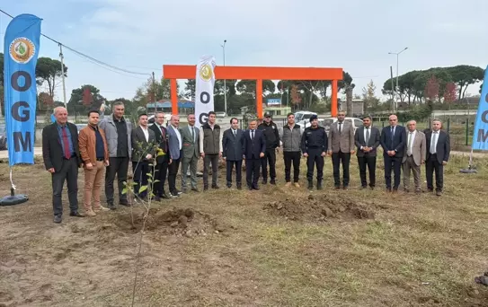 Samsun'da Ağaçlandırma Etkinliği