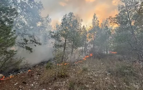 Bozyazı'da örtü yangını kontrol altına alındı