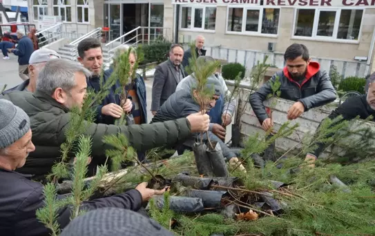 Havza'da Ücretsiz Fidan Dağıtımı