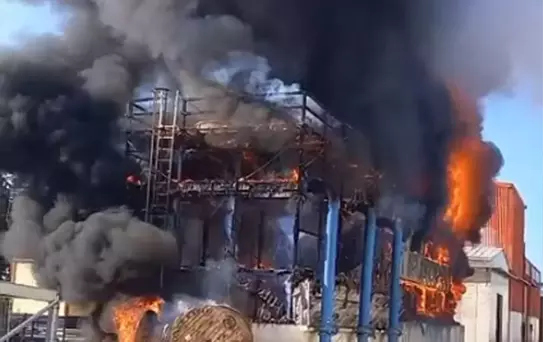 Ödemiş'te Salça Fabrikasında Yangın