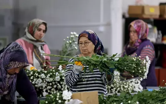 Türkiye'nin Süs Bitkileri İhracatı Artıyor