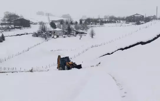 Ordu'da Karla Mücadele Devam Ediyor