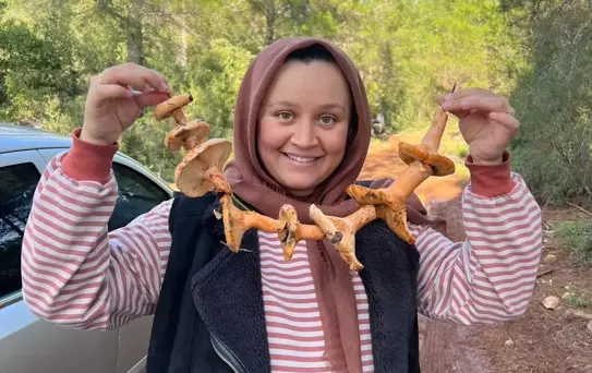 Kaş'ta Mantar Seferberliği