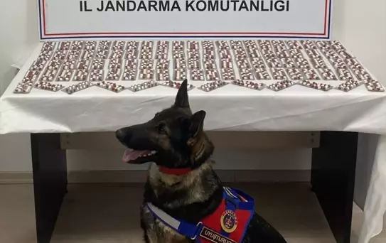 Tosya'da 1344 Uyuşturucu Hapla Yakalanan Şüpheli Tutuklandı