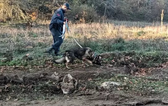 Kaybolan Mantar Tüketicisi Bulundu