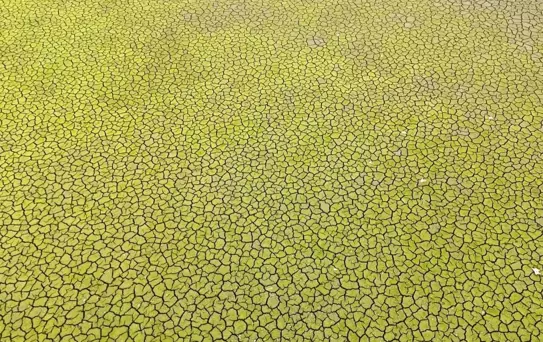 İstanbul için kıyamet senaryosu: Bu şekilde yaza girersek felaket olur