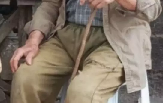 Bolu'da Mantar Toplayan Adam Ölü Bulundu