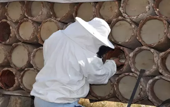 Hizan'da Kara Kovan Balı Hasadı Devam Ediyor