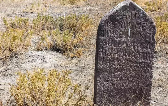 Yalnız mezarın sırrı çözüldü! Herkesin dışladığı Güllü Ayşa'nın dramı