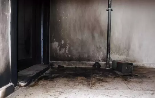 Komşusunu elektrikli düzenekle öldürmeye kalkan zanlıdan akılalmaz savunma