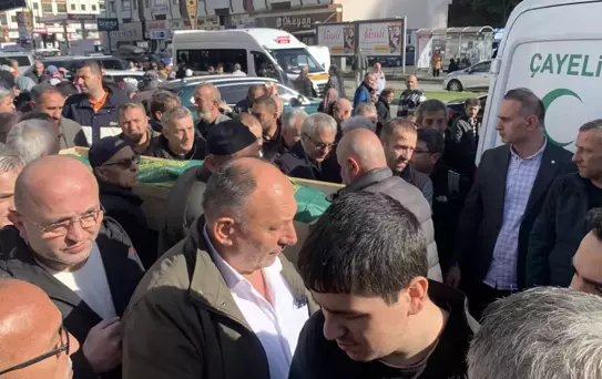 Çayeli'nde Arı Kovanı Faciası: İki Ölü