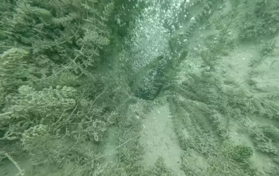 Sapanca Gölü'ndeki Kabarcıklar Güvenli