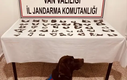 VAN'da Bonzai Operasyonu: 171 Gram Ele Geçirildi