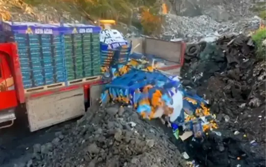 Mandalina İmhası: Zirai İlaç Kalıntısı