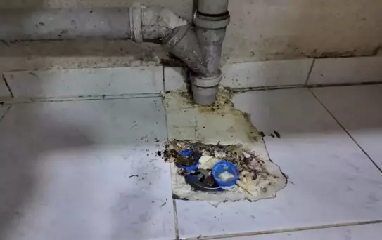 Tatlı imalathanesinde mide bulandıran görüntüler: Burası pislik içinde