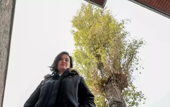 Yüzyıllık Kavak Ağaçtan Tanık: Ulucanlar Cezaevi