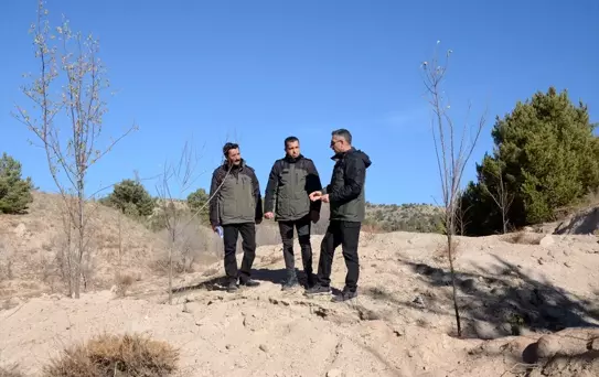 Erzurum'da 39 Bal Ormanı Kuruldu