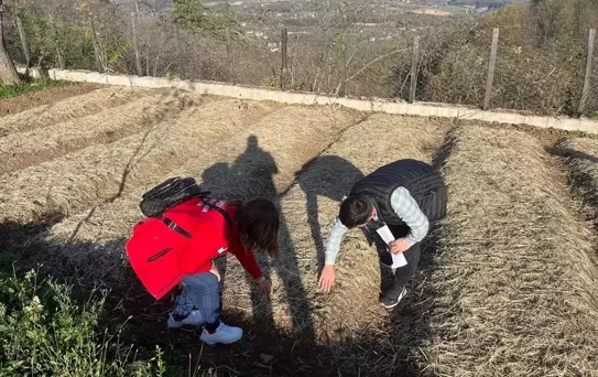 Samsun'da Salep Bahçeleri Denetlendi