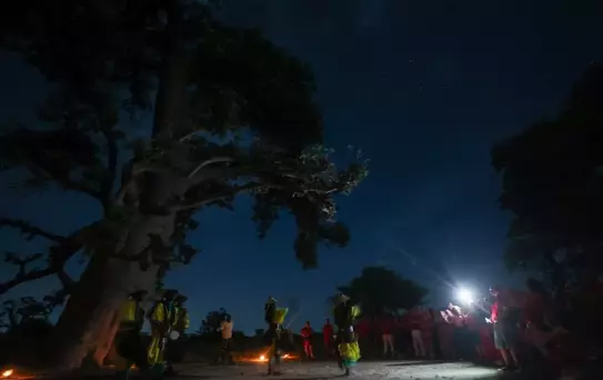 Senegal'de Kültürel Etkinlik ve Dans Festivali