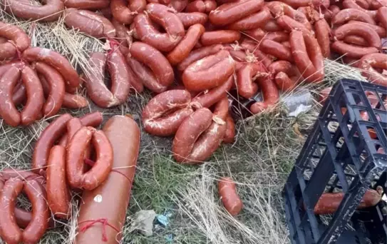 Yüzlerce kilo et ürünü boş araziye atıldı