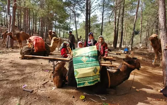 Sarıkeçili Yörüklerin Kış Göçü Devam Ediyor