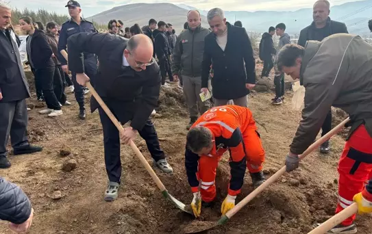 Doğanşehir'de Fidan Dikimi