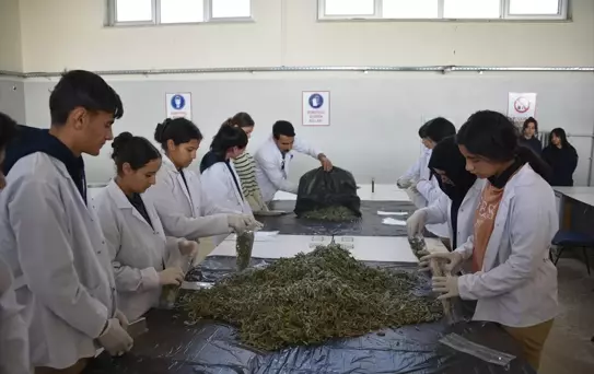 Siverek'te Öğrenciler Tarım Öğreniyor