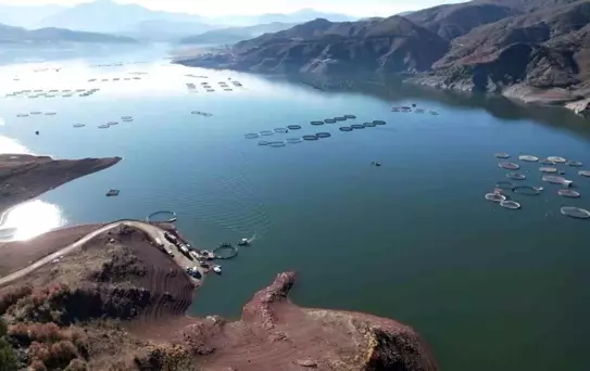 Denizi olmayan Tokat'ın somonları dünya sofralarına ulaşıyor