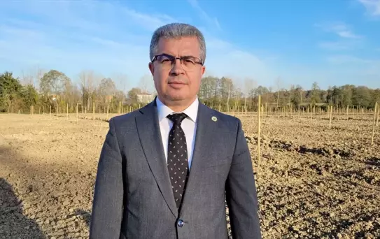 Tekkeköy'de Mor Patlıcan Projesi