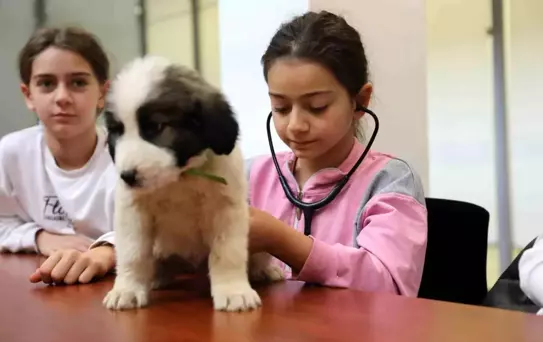 Minik veterinerler görev başında