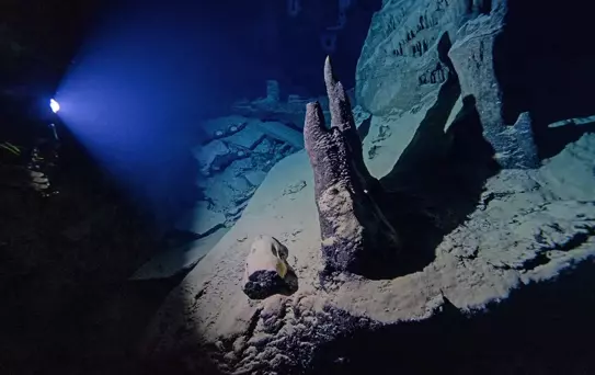 Hatay'da Dalış Ziyafeti