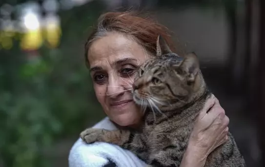 Kediler, Kanserle Mücadelede Şifa Oldu