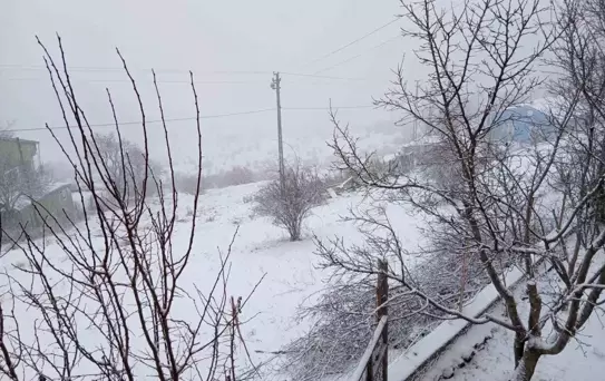 Posof'ta kar yağışı etkili oluyor