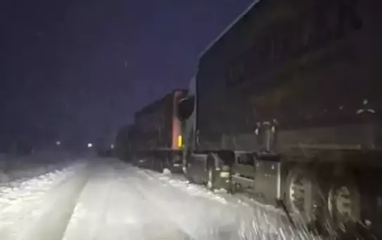 Posof'ta Kar Yağışı Ulaşımı Olumsuz Etkiledi