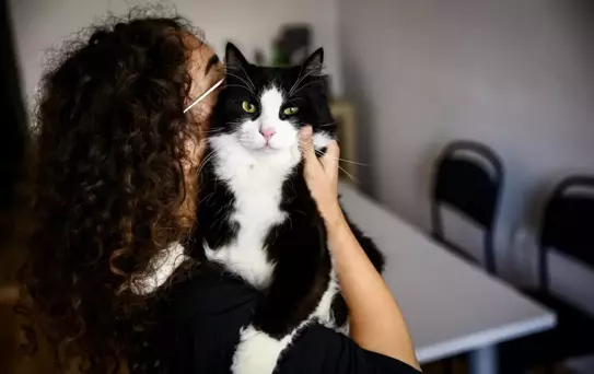 Bu tarihi kaçıran evcil hayvan sahipleri yandı! Katbekat fazlasını ödeyecekler