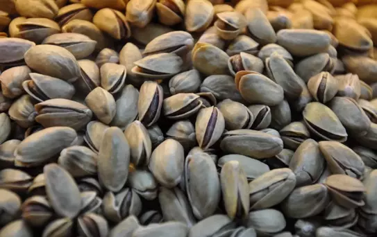 Resmi Gazete'de yayımlandı! Antep fıstığıyla ilgili önemli karar