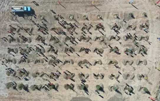 Kocasinan'da 1 Milyon Ağaç Dikildi