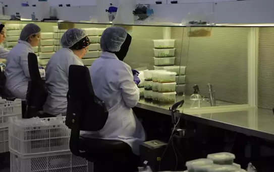 SATSO Doku Kültürü Laboratuvarları Tanıtıldı