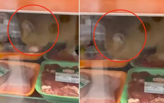 Zincir markette mide bulandıran skandal! Gören hemen kayda girdi!