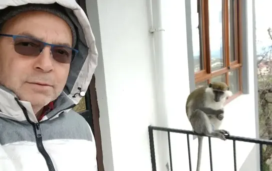 Giresun'da Kaçan Maymun, Evdeki Adamla Oynadı