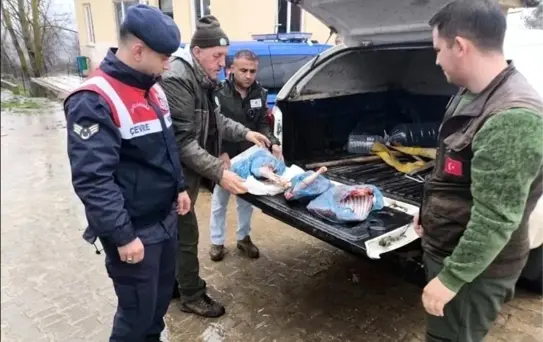 Kırklareli'nde Yasa Dışı Karaca Avına 50 Bin TL Ceza