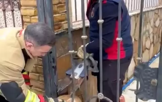 Demir korkuluklara sıkışan köpeği itfaiye kurtardı