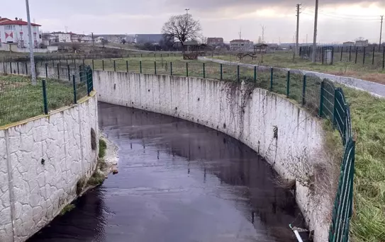 Görenler inanamadı! Dere siyah akmaya başladı