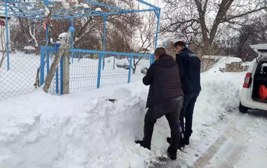 Bünyan'da sokak hayvanlarına mama desteği