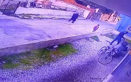 Çocukların gözü önünde köpeği katletti