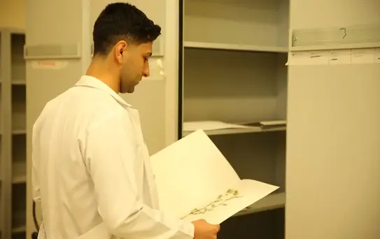 Siirt'te 2000 Bitki Örneği Teşhis Edilecek