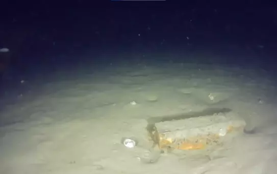 THY'nin 50 yıl önce düşen uçağının enkazından yeni parçalar bulundu