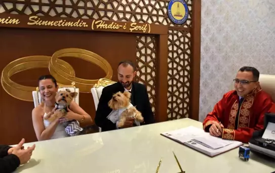 Köpekleriyle birlikte mutluluğa 'evet' dediler