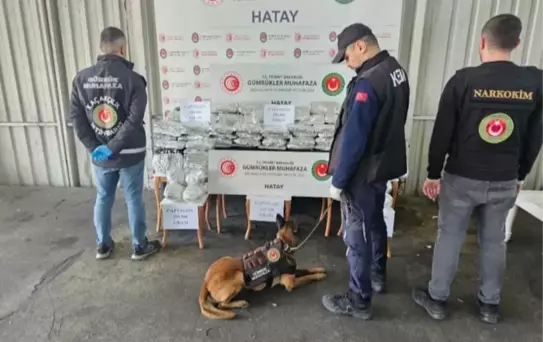 İskenderun Limanı'nda dev uyuşturucu operasyonu, piyasa değeri tam 560 milyon TL