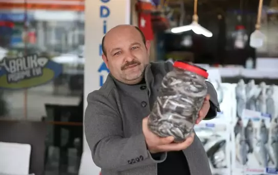 Hamsi Salamurası Yapımı Başladı